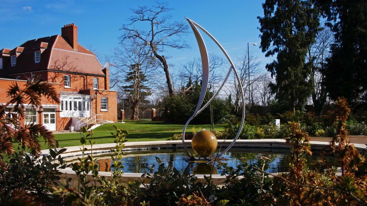 The Pinewood